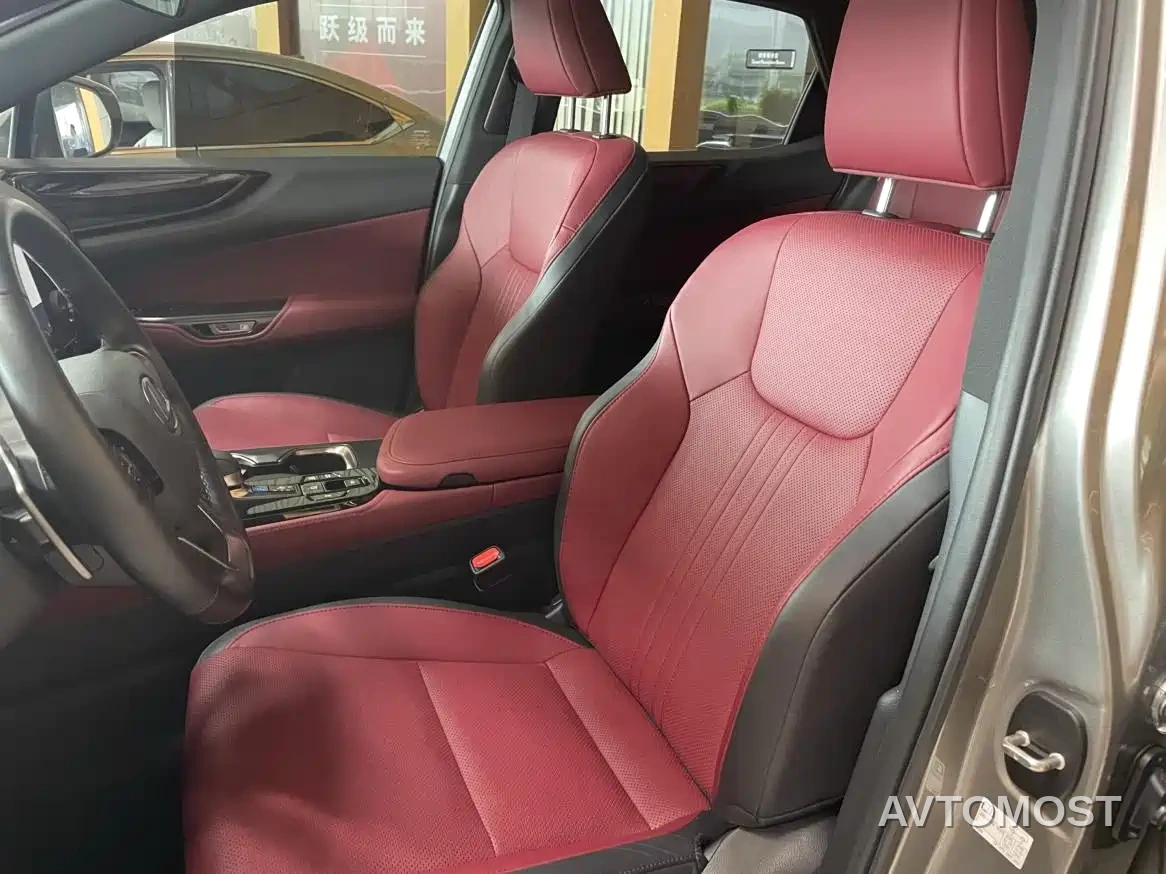 Lexus NX New Energy 2023 400h+ Joy Edition — фото 3