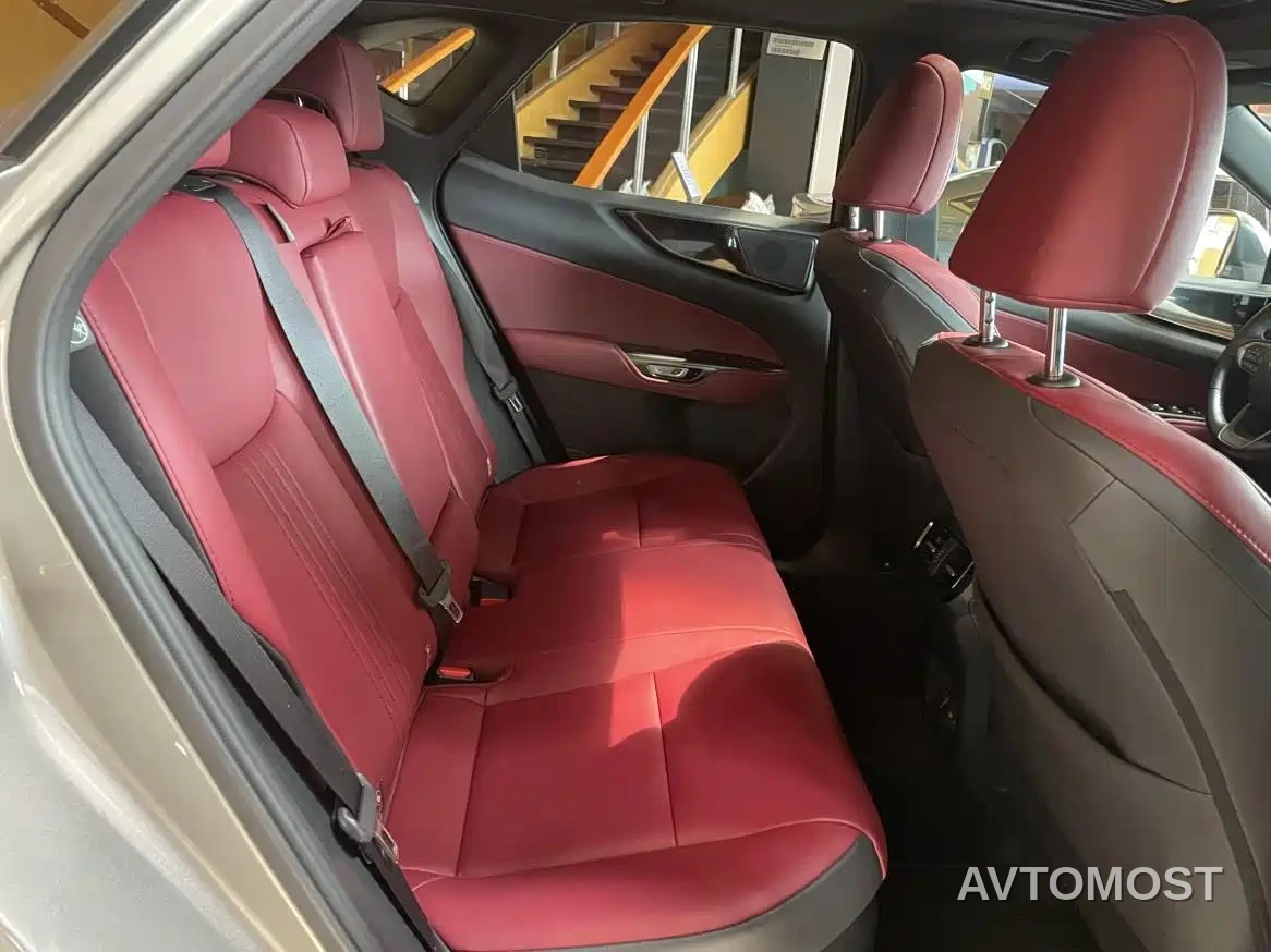 Lexus NX New Energy 2023 400h+ Joy Edition — фото 5
