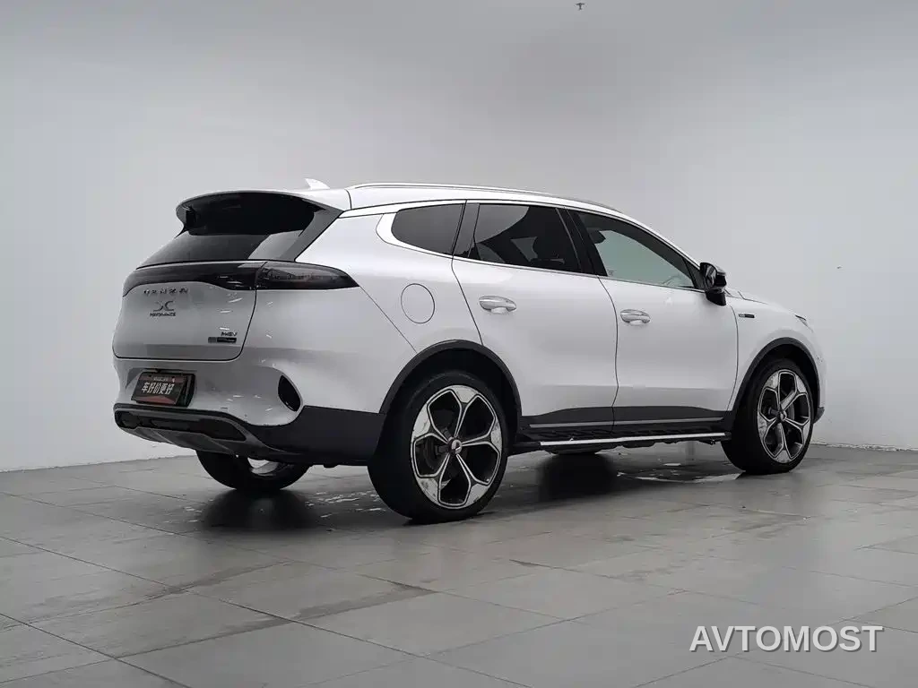 Denza X 2020 Model PHEV Flagship Edition — фото 1