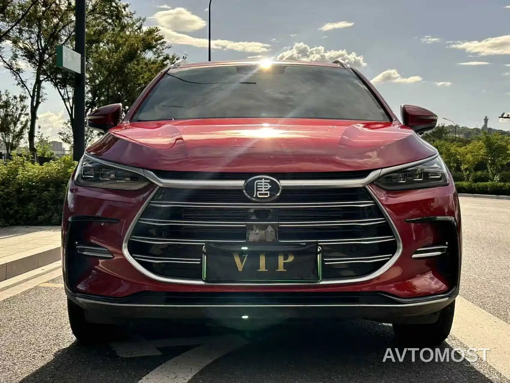 BYD Tang New Energy 2021 DM-i 112KM Honor — фото 2