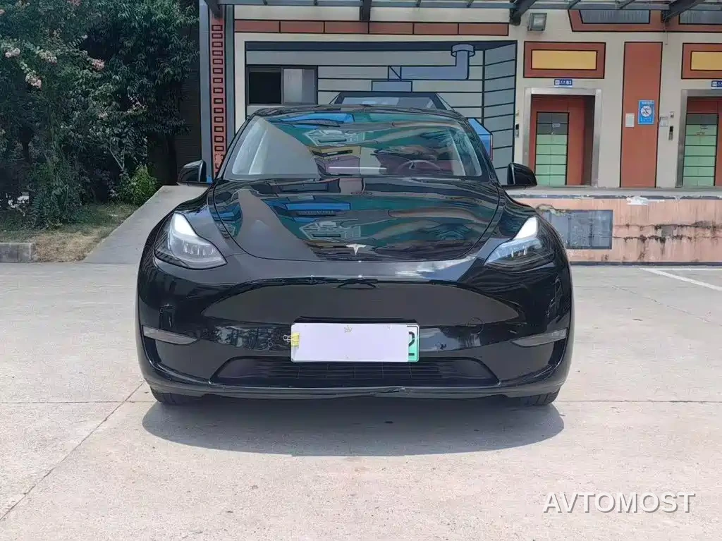 Tesla Model Y 2021 Standard Range Rear-Wheel Drive — фото 2