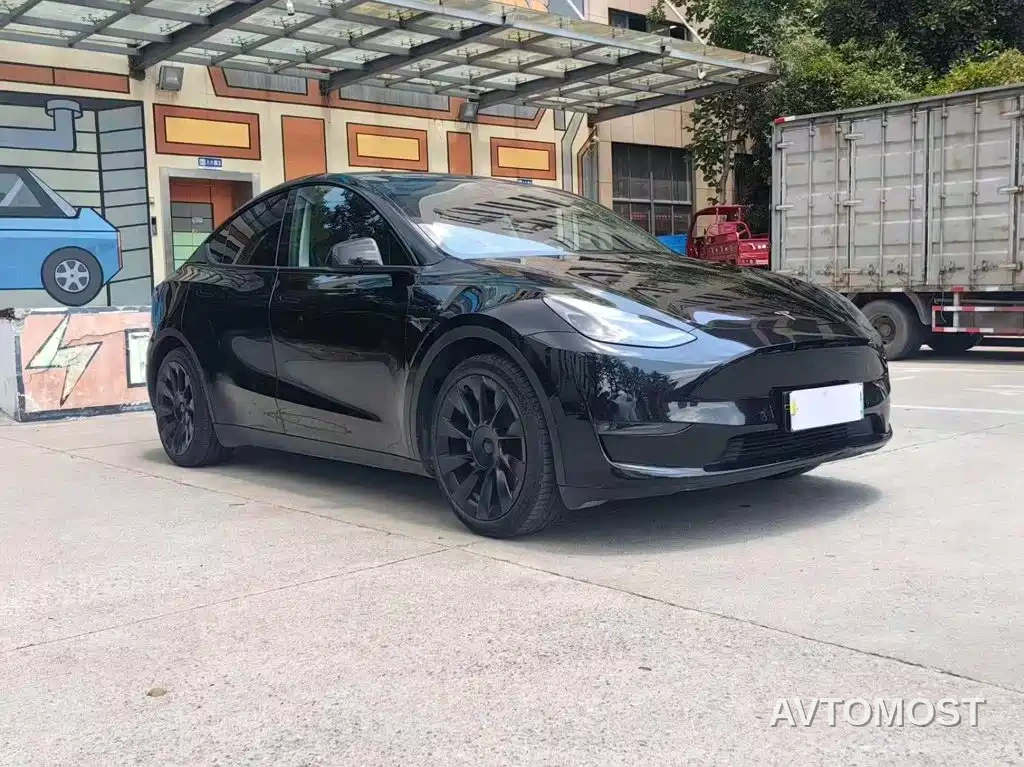Tesla Model Y 2021 Standard Range Rear-Wheel Drive — фото 3