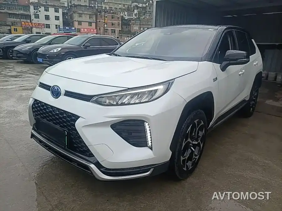 Toyota Wildlander New Energy 2021 High Performance Edition 2.5L AWD Power Version