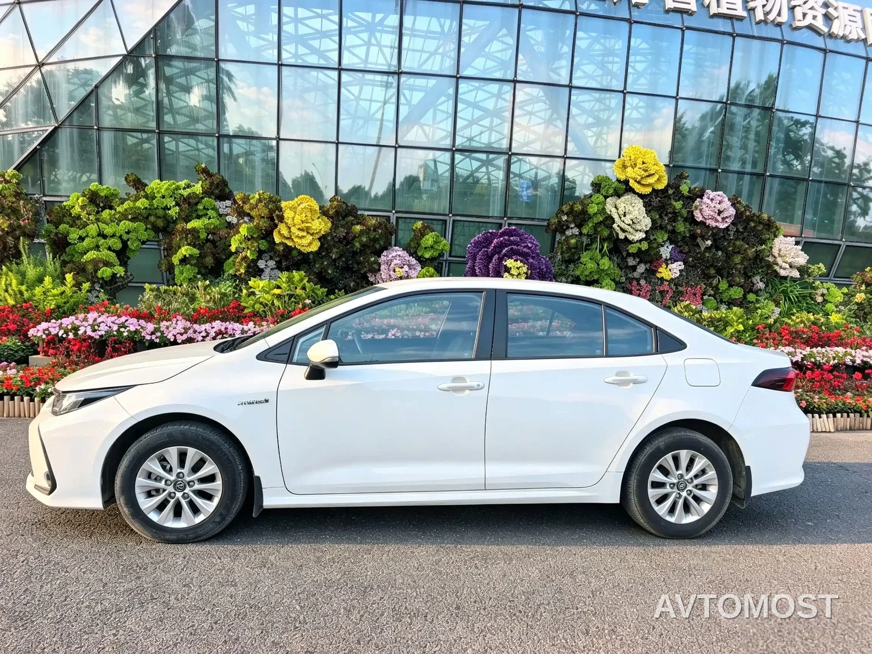 Toyota Corolla 2021 Hybrid 1.8L E-CVT Elite Edition — фото 3