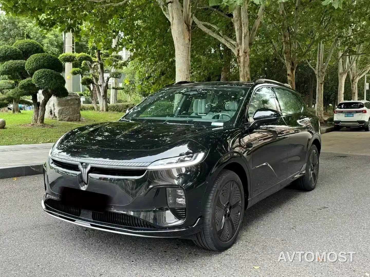 Voyah Zhiyin 2024 Long Range Super Charging Edition — фото 1
