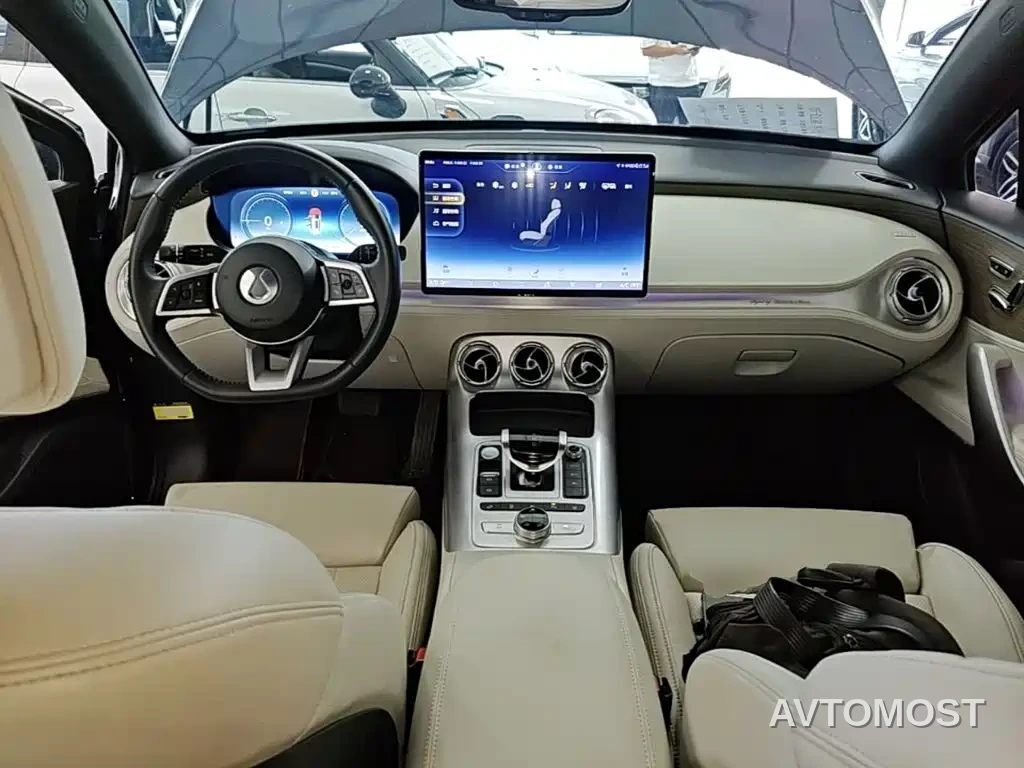 Denza X 2020 Model PHEV Flagship Edition — фото 10