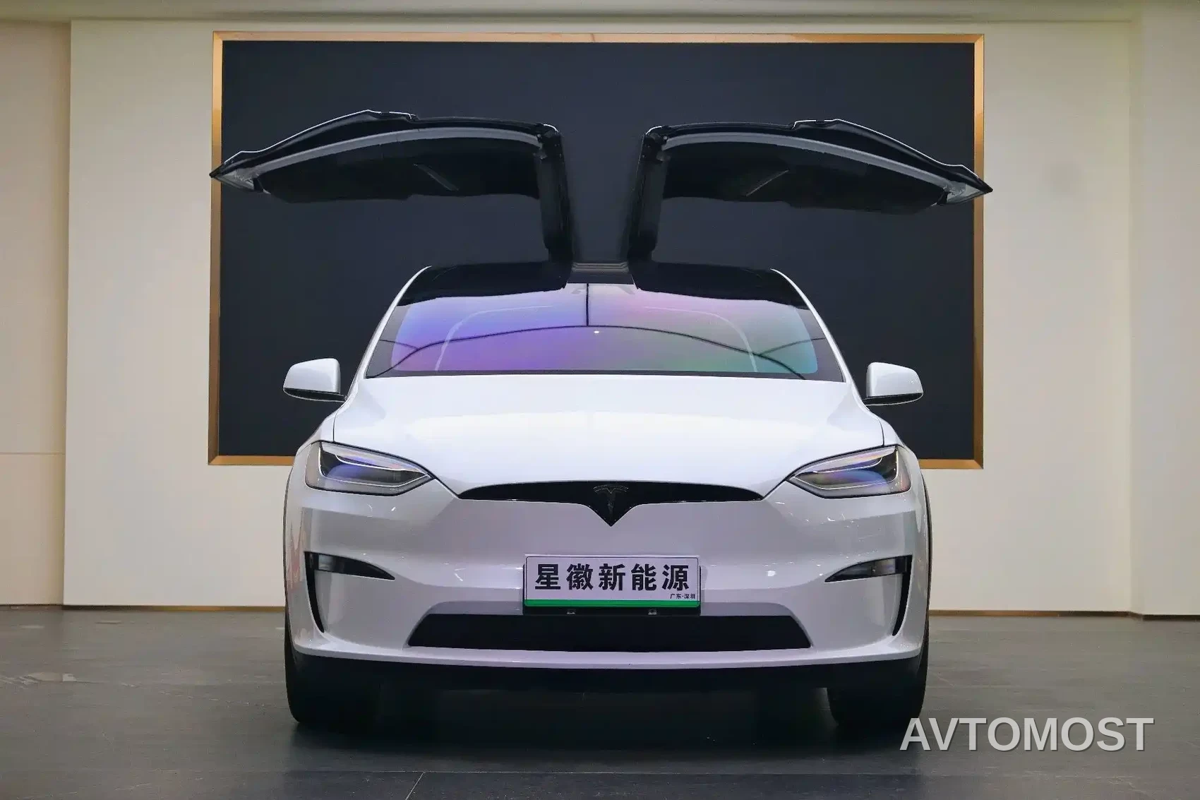 Tesla Model X 2023 Dual Motor All-Wheel Drive Edition — фото 2