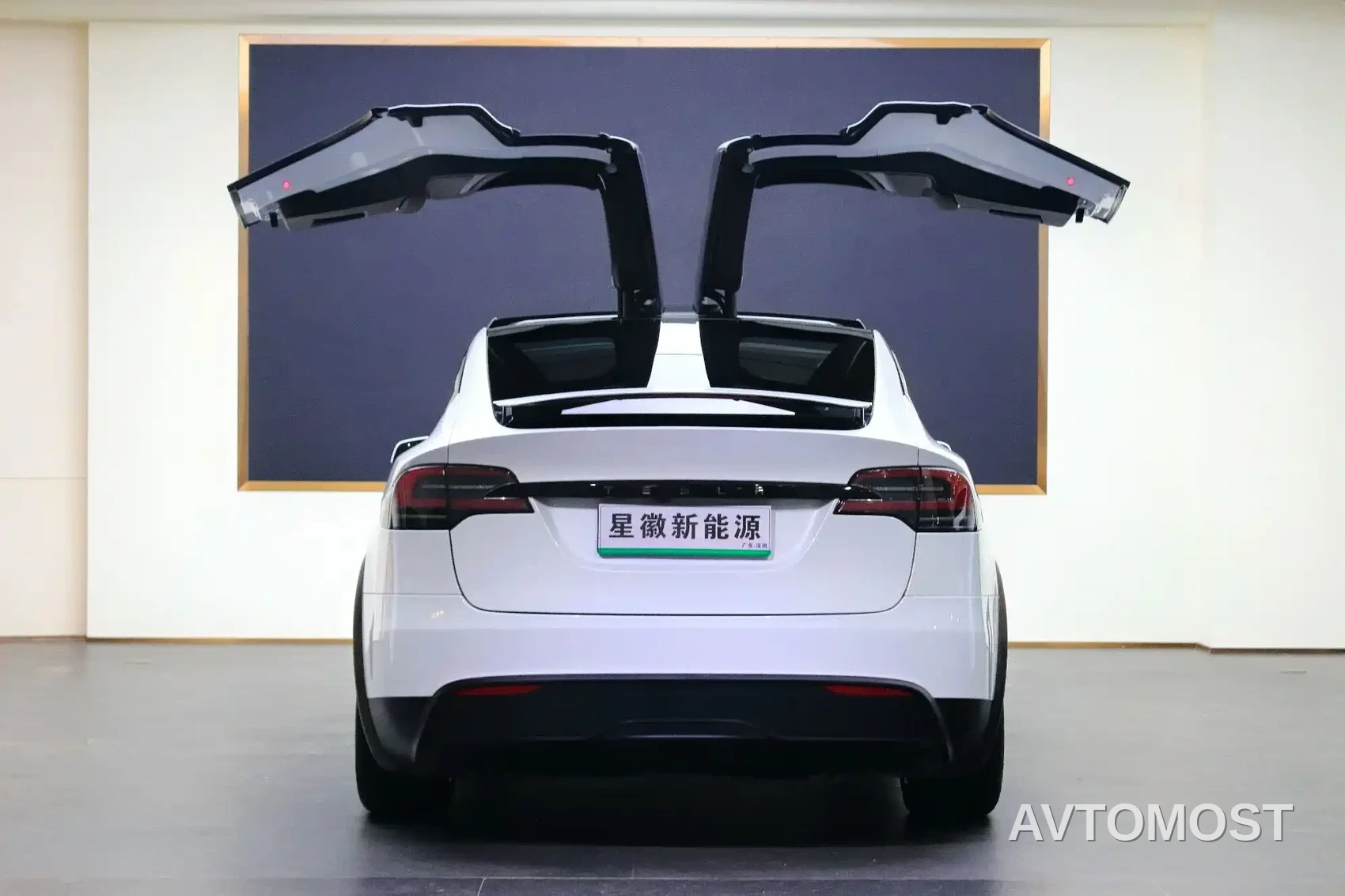 Tesla Model X 2023 Dual Motor All-Wheel Drive Edition — фото 22