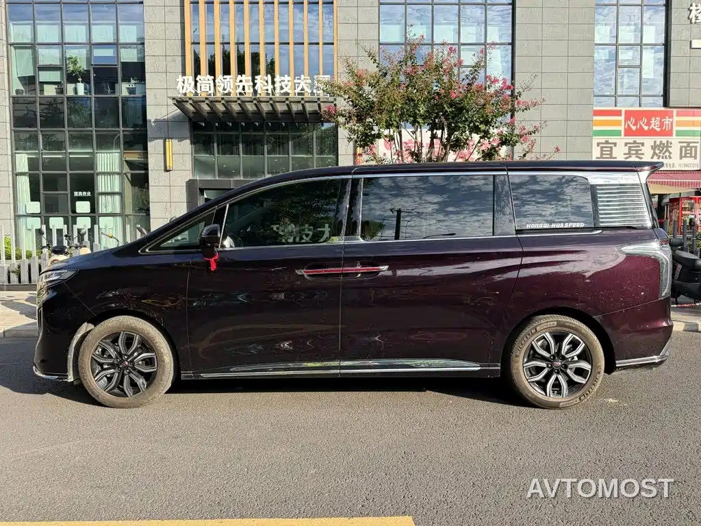 Hongqi HQ9 2023 2.0T Smart Connect Flag Rhyme Edition — фото 3