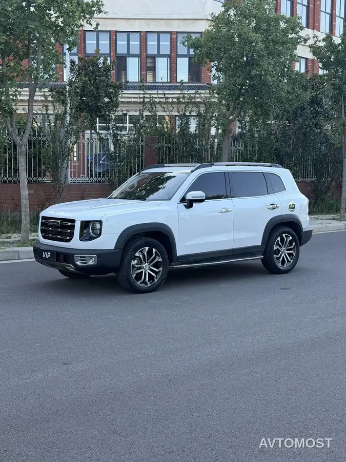 Haval Big Dog 2021 1.5T DCT 2WD Border Collie Edition