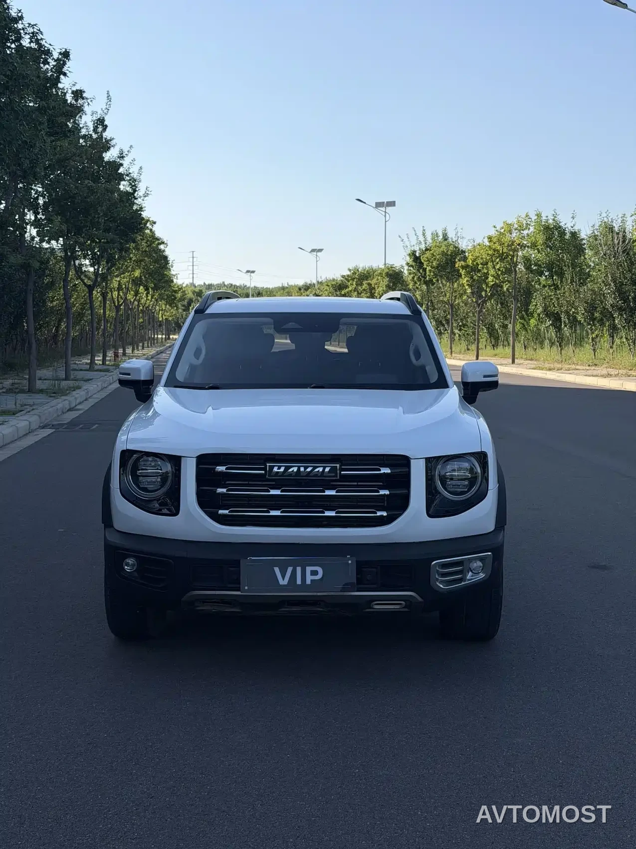 Haval Big Dog 2021 1.5T DCT 2WD Border Collie Edition — фото 2