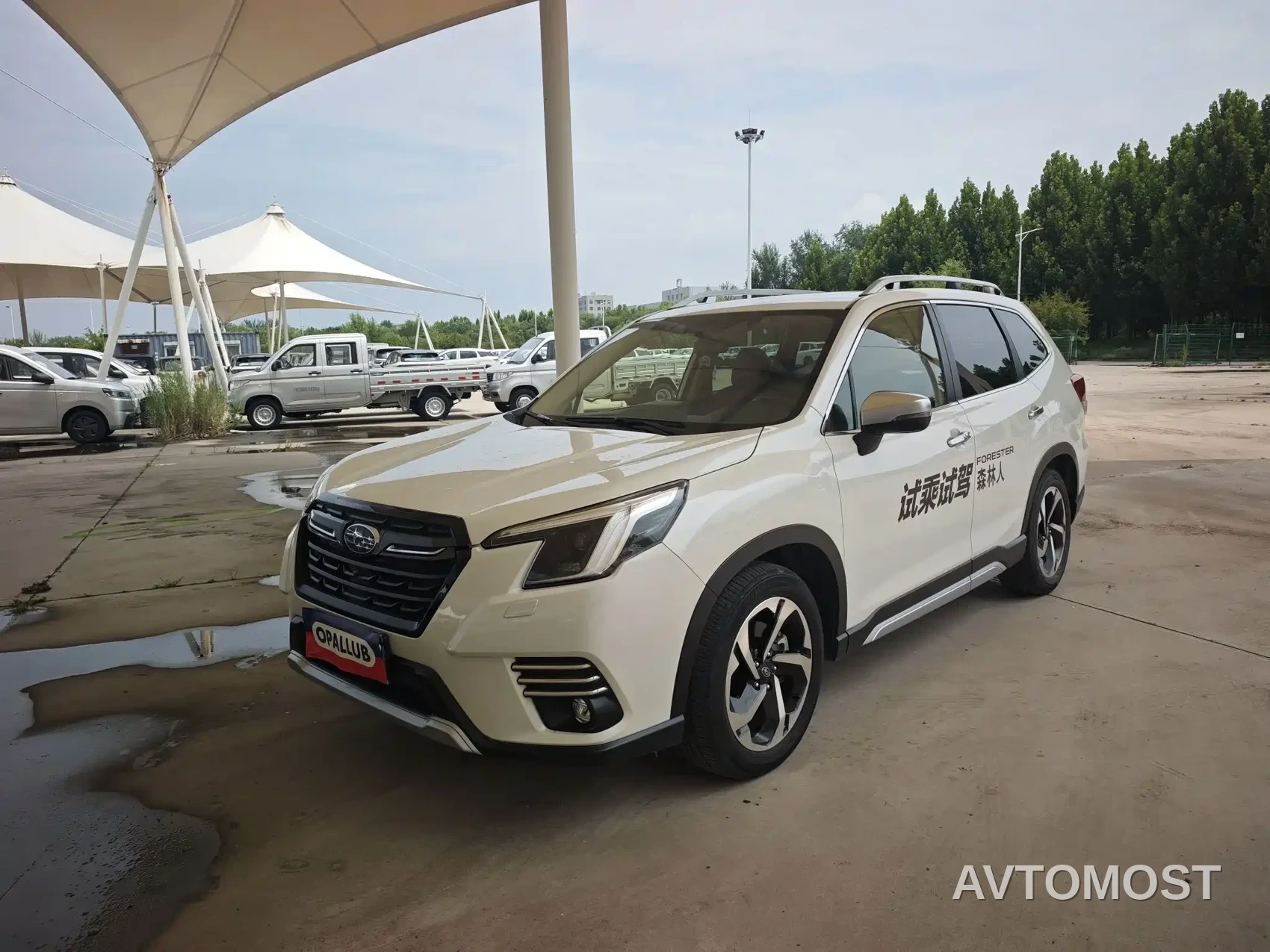 Subaru Forester 2024 2.5i AWD Flagship EyeSight — фото 1