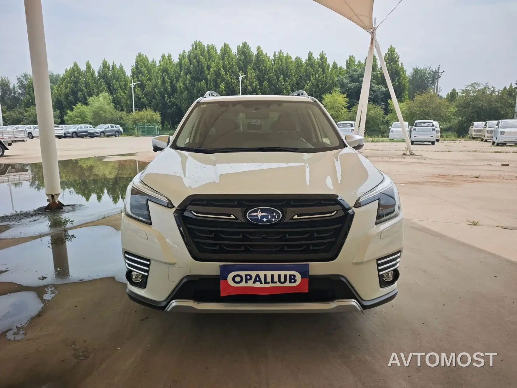 Subaru Forester 2024 2.5i AWD Flagship EyeSight — фото 2