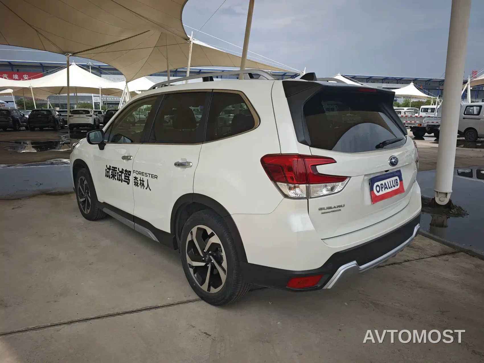 Subaru Forester 2024 2.5i AWD Flagship EyeSight — фото 4