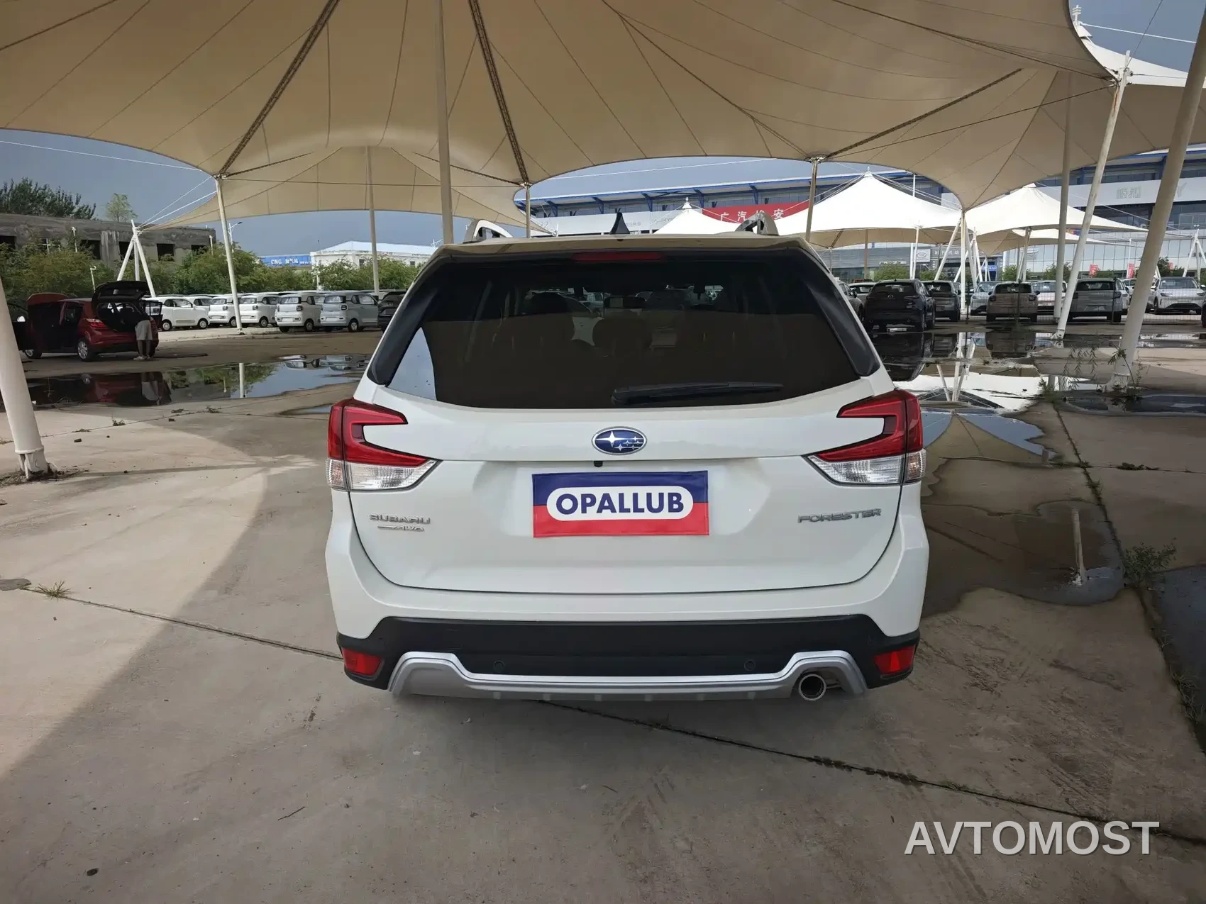 Subaru Forester 2024 2.5i AWD Flagship EyeSight — фото 5