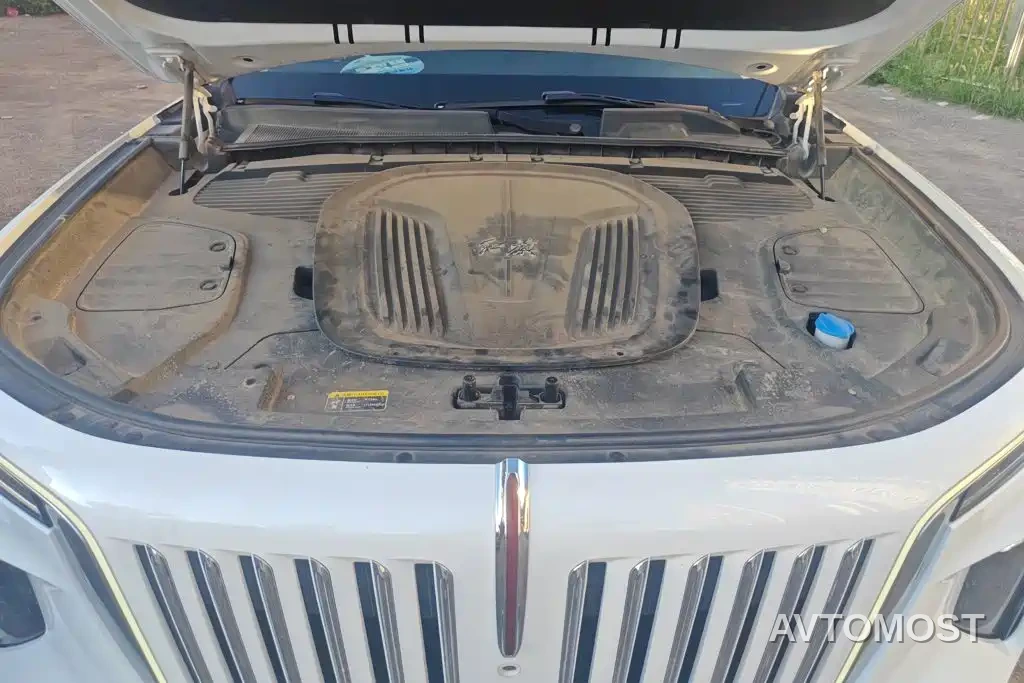 Hongqi E-HS9 2021 460km Flagship Comfort 6-seater — фото 10