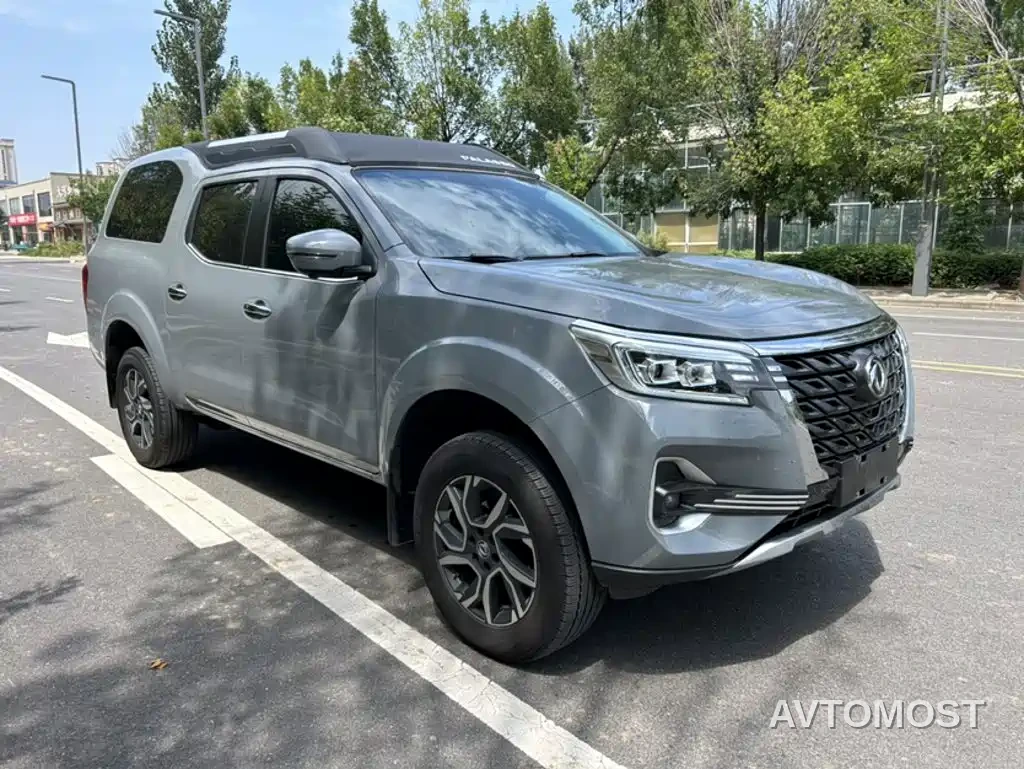Dongfeng Palasso 2025 Model 2.0T Automatic 2WD Elegance — фото 6