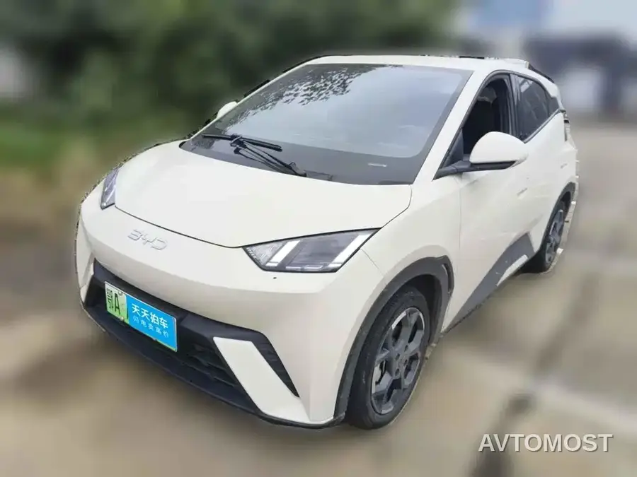 BYD Seagull 2025 305km Freedom