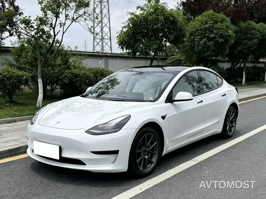 Tesla Model 3 2021 Standard Range Rear-Wheel Drive Upgrade