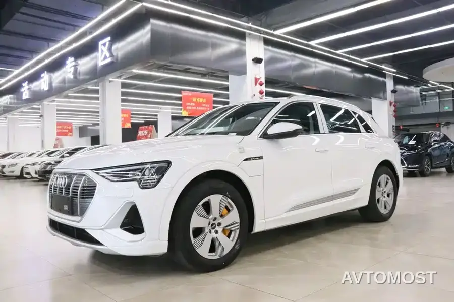 Audi e-tron 2021 50 quattro Luxury
