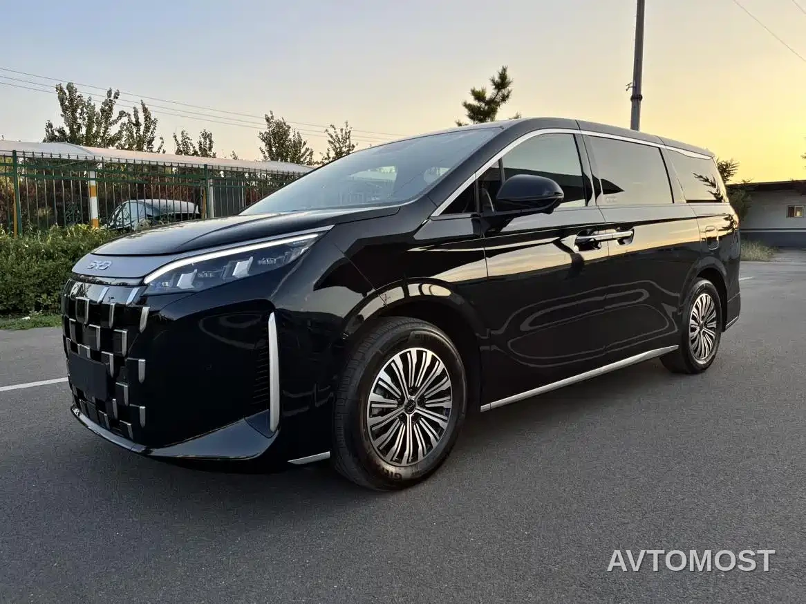 BYD M9 2025 Model 1060 Pilot Edition — фото 1
