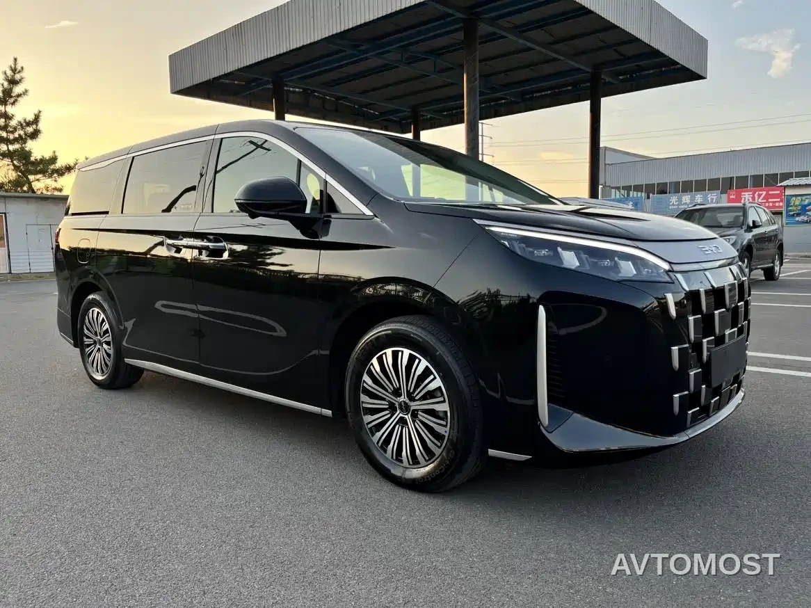 BYD M9 2025 Model 1060 Pilot Edition — фото 3