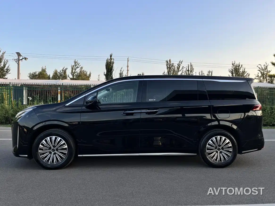BYD M9 2025 Model 1060 Pilot Edition — фото 6