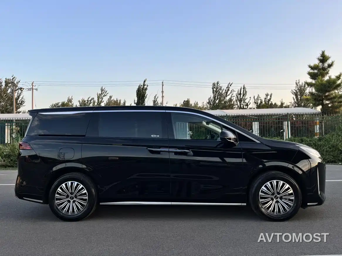 BYD M9 2025 Model 1060 Pilot Edition — фото 7