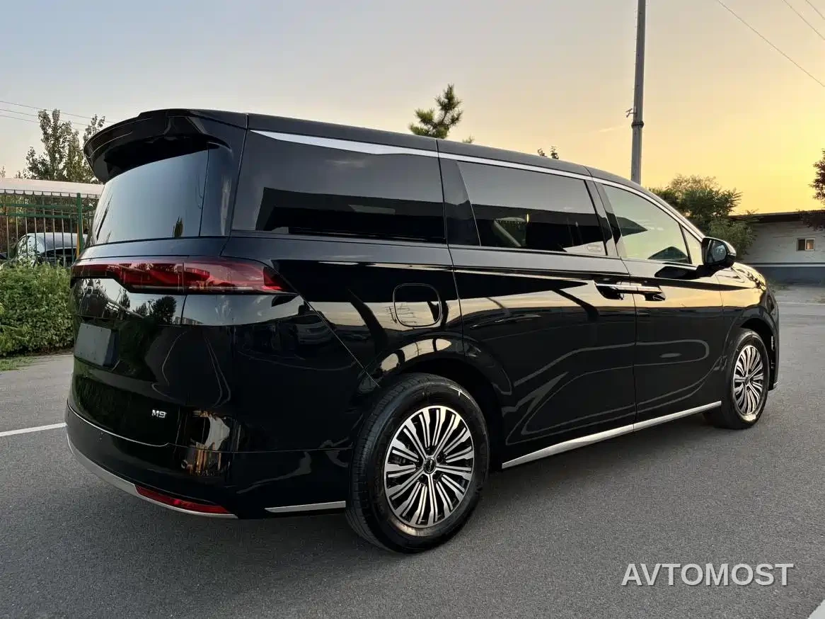 BYD M9 2025 Model 1060 Pilot Edition — фото 20