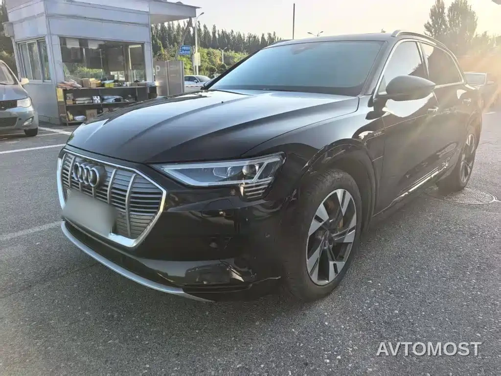 Audi e-tron (Import) 2019 55 quattro Technology — фото 1