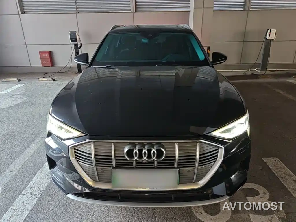 Audi e-tron (Import) 2019 55 quattro Technology — фото 2