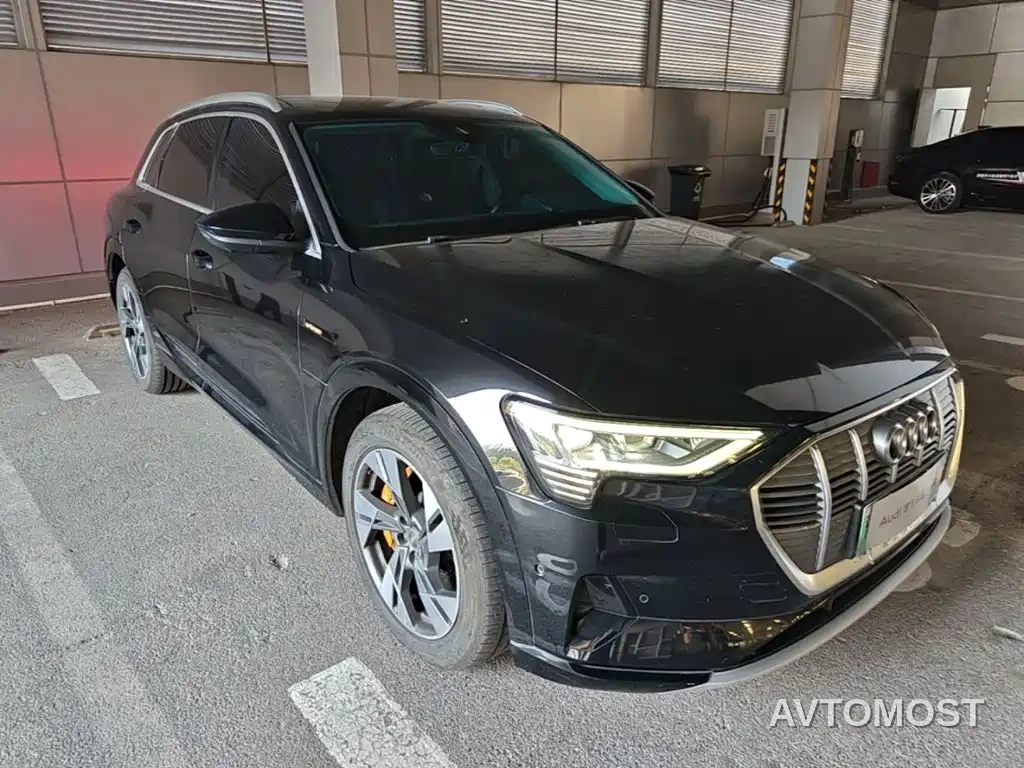 Audi e-tron (Import) 2019 55 quattro Technology — фото 3