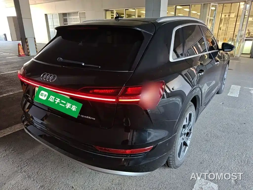 Audi e-tron (Import) 2019 55 quattro Technology — фото 6