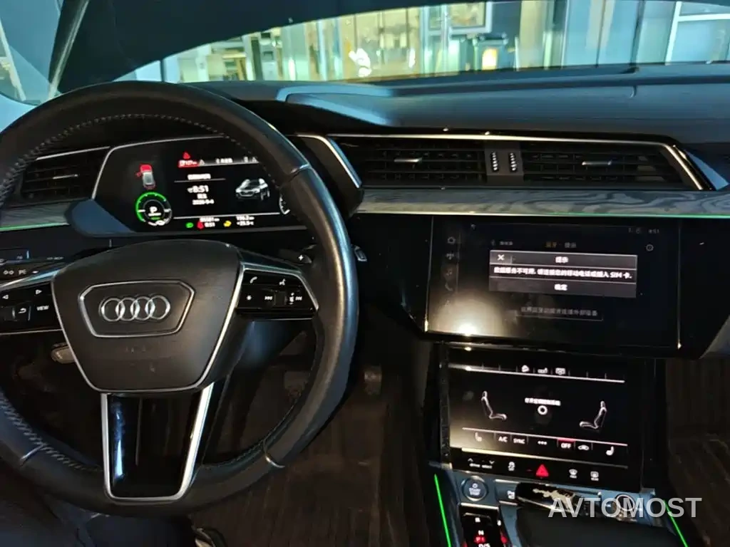 Audi e-tron (Import) 2019 55 quattro Technology — фото 9