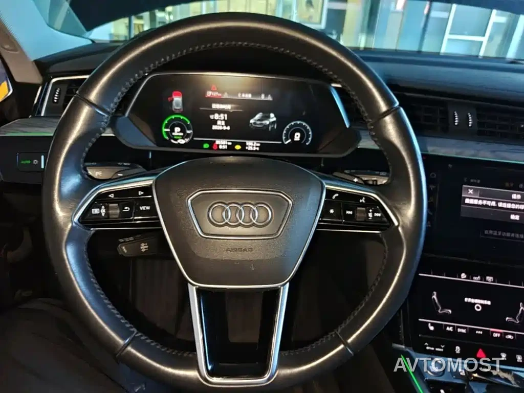 Audi e-tron (Import) 2019 55 quattro Technology — фото 10