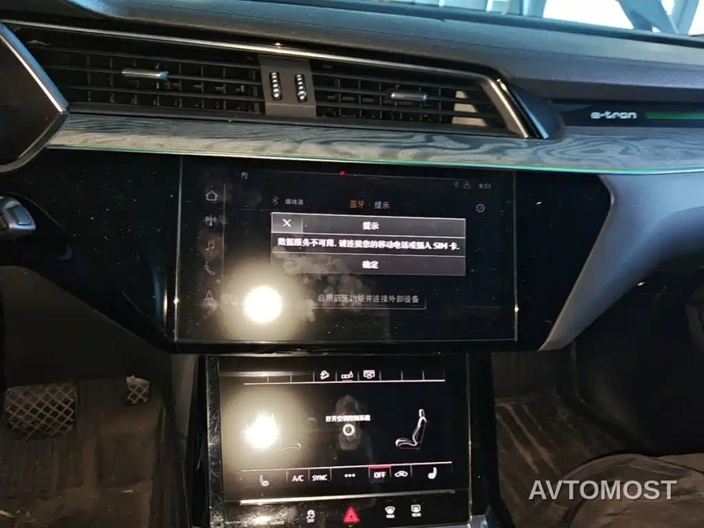 Audi e-tron (Import) 2019 55 quattro Technology — фото 12