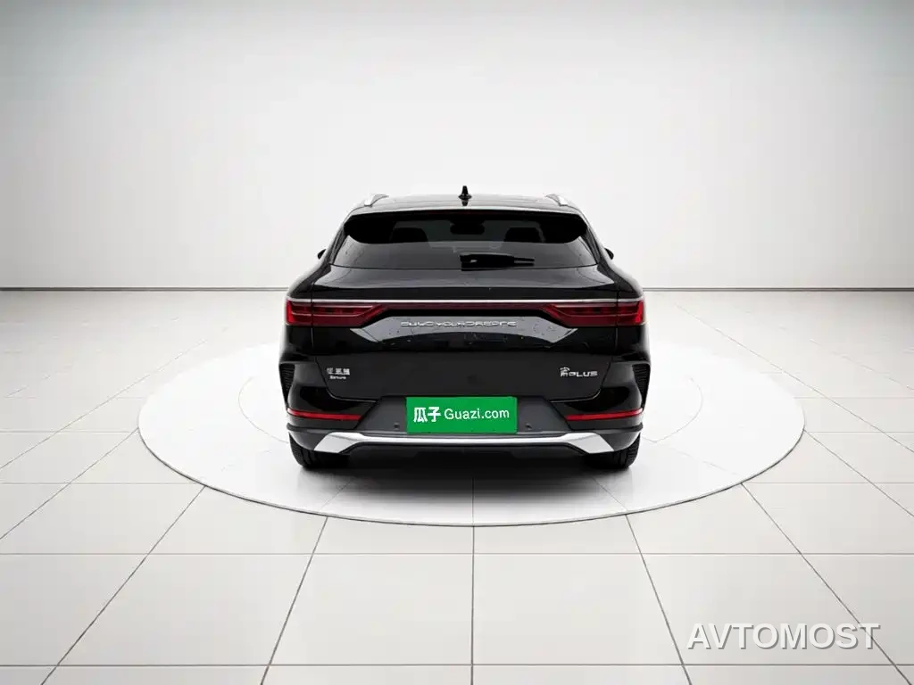 BYD Song PLUS PHEV 2021 DM-i 51KM Honor — фото 5