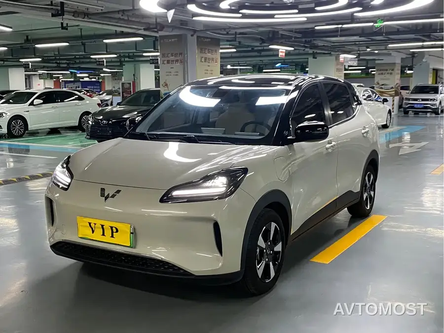 Wuling Binguo PLUS 2024 Model 330km 5-Seater