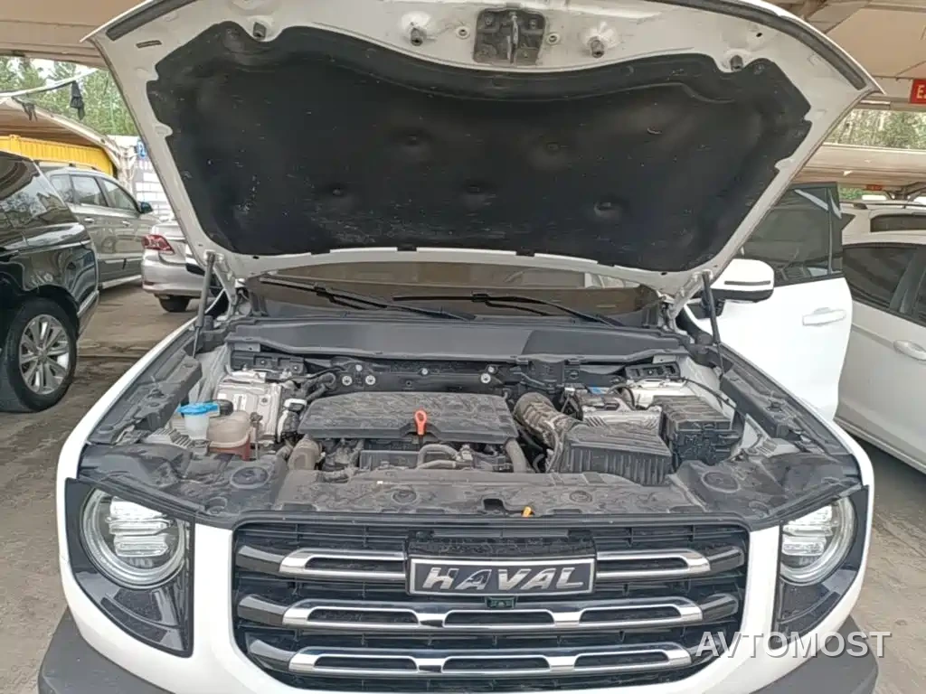 Haval Big Dog 2021 1.5T DCT 2WD Labrador Edition — фото 16