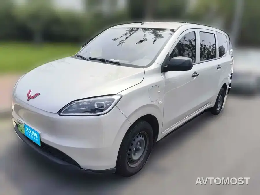 Wuling Hongguang New Energy 2024 Pure Electric 300KM Standard