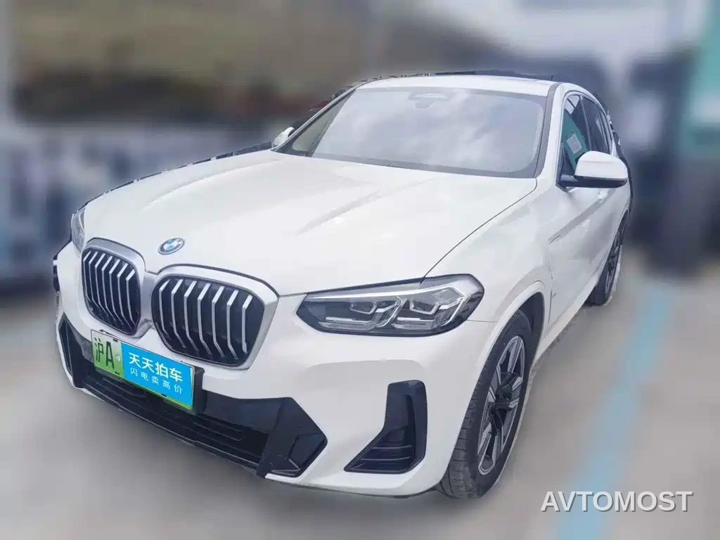 BMW iX3 2022 Leading Edition — фото 1