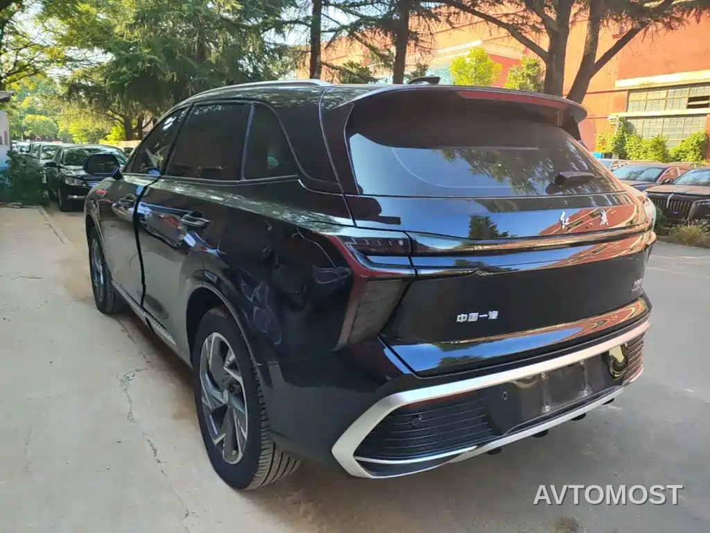 Hongqi HS3 PHEV 2025 PHEV 115km Power Edition — фото 3