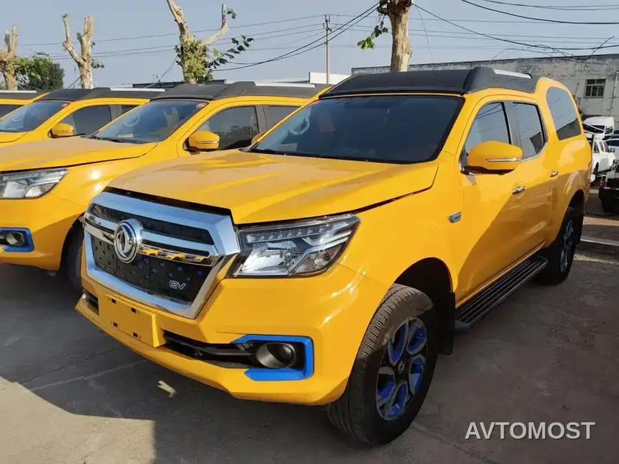 Dongfeng Rich 6 New Energy 2023 Palasso Van Standard Edition 320km