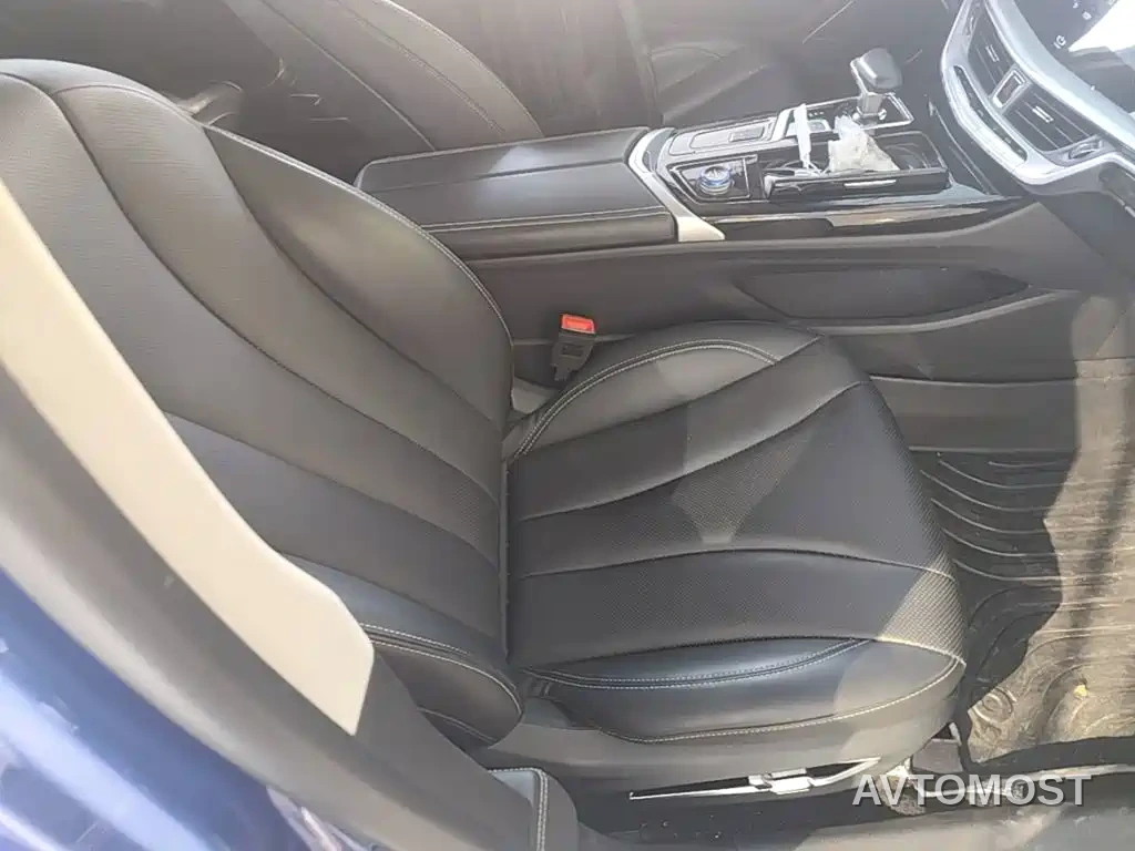 Geely Borui PHEV 2021 1.5T ePro Leading Glory Edition — фото 22
