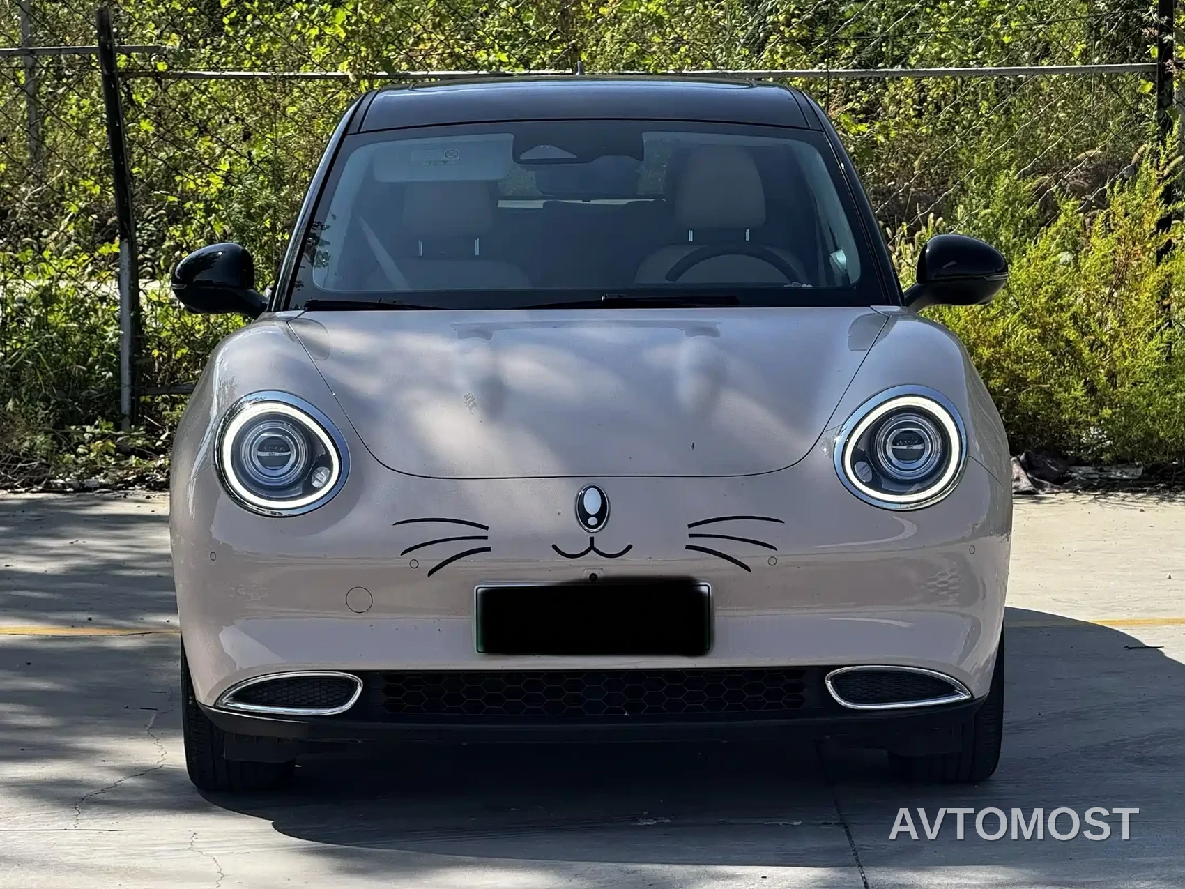 Ora Good Cat 2021 400km Standard Range Athena Edition (NCM) — фото 2