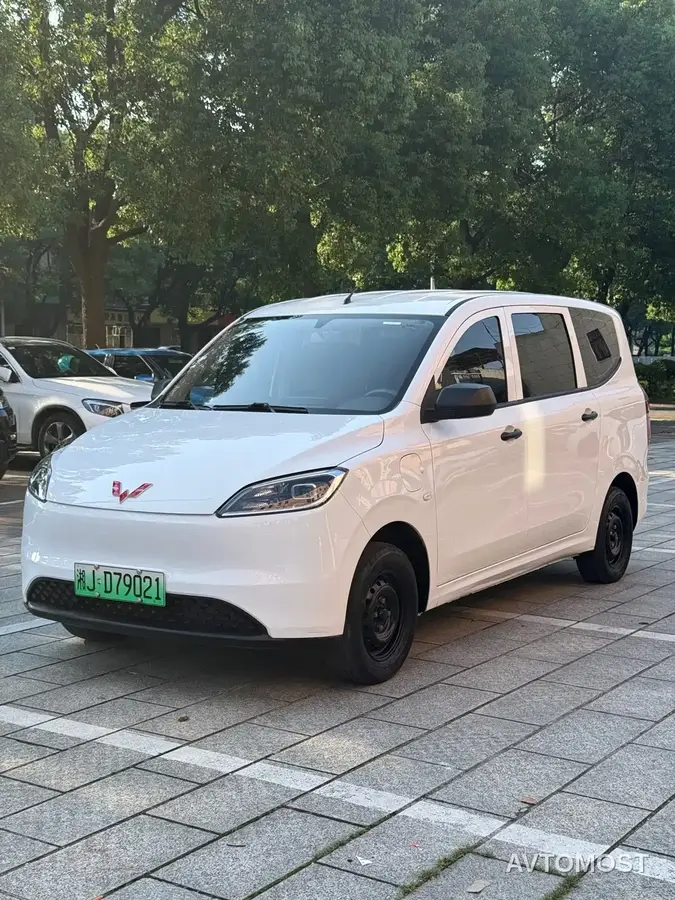 Wuling Hongguang New Energy 2024 Model Pure Electric 300KM Utility Version