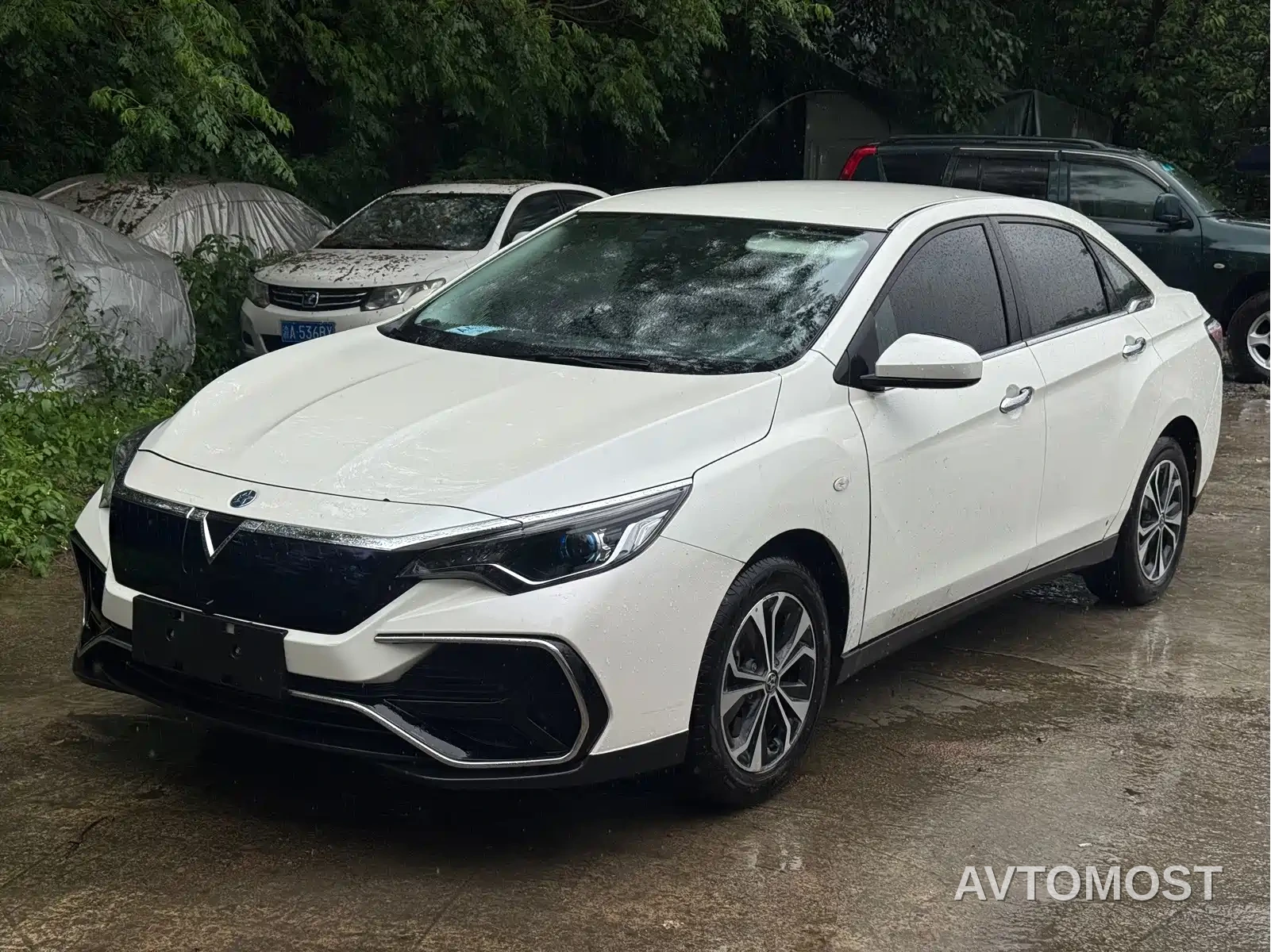Venucia D60EV 2022 Standard Range Comfort Edition — фото 3