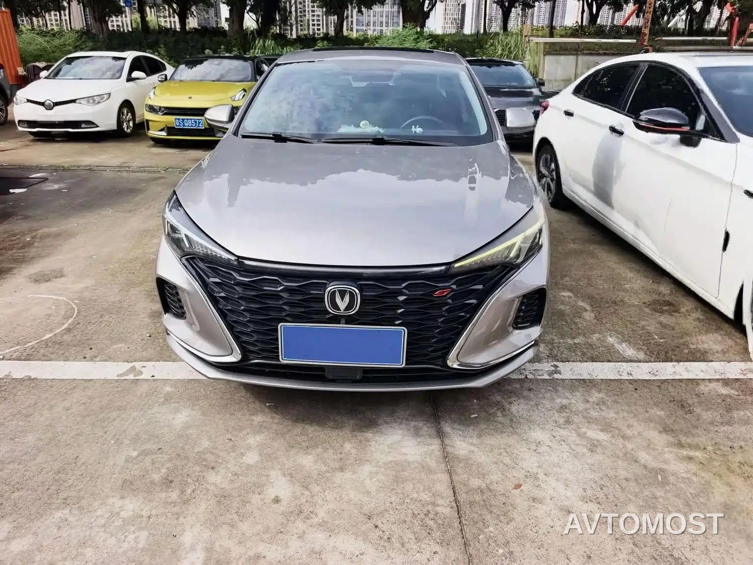 Changan Eado 2021 PLUS Blue Whale NE 1.4T GDI DCT Premium — фото 2