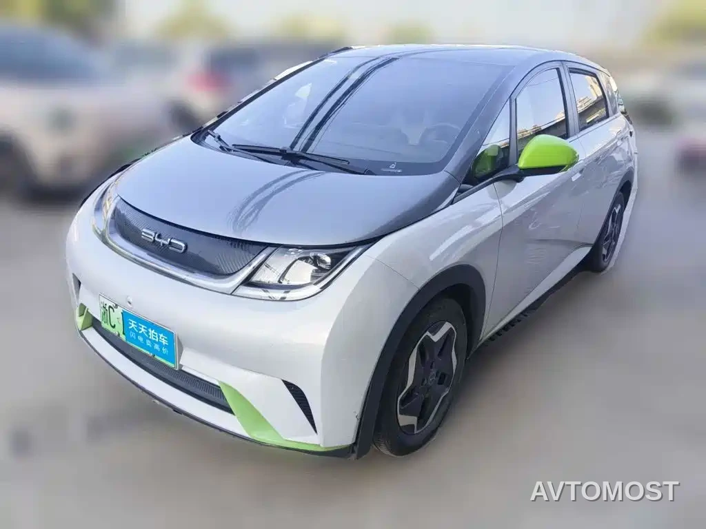 BYD Dolphin 2021 405km Freedom Edition — фото 1