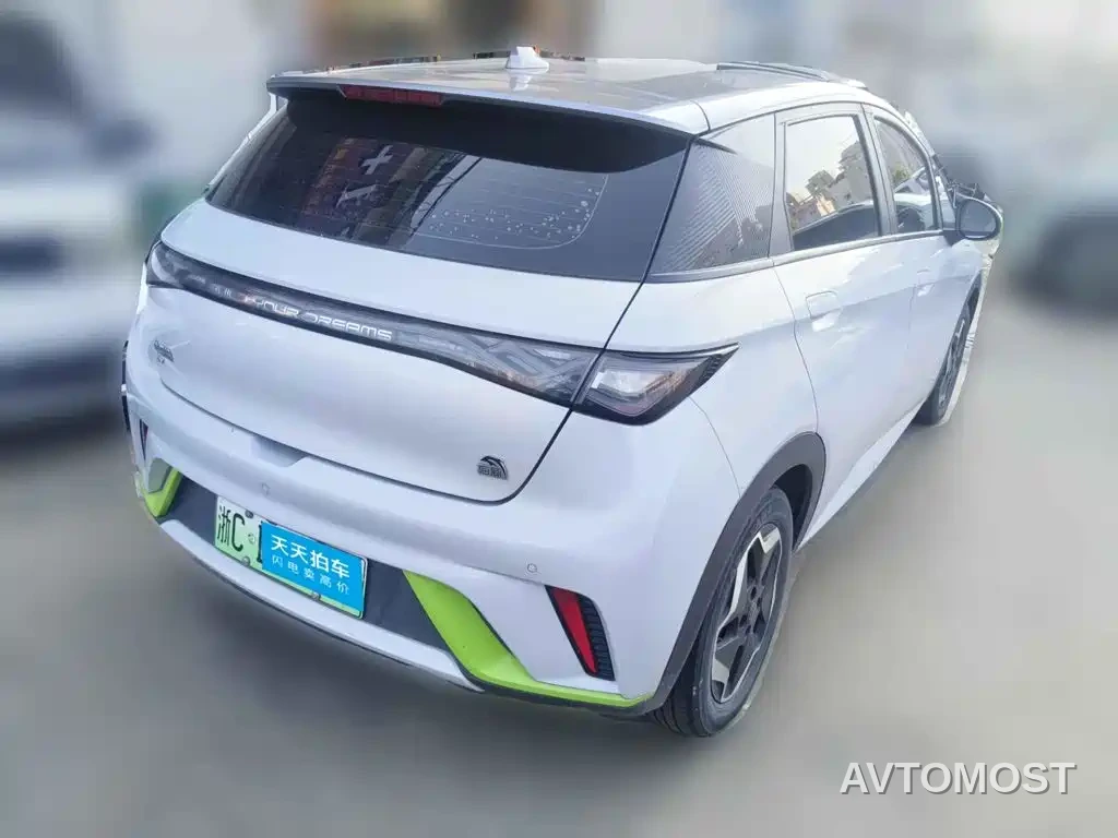 BYD Dolphin 2021 405km Freedom Edition — фото 2